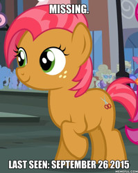 Size: 600x753 | Tagged: safe, edit, edited screencap, screencap, babs seed, earth pony, pony, g4, cropped, female, filly, image macro, meme, memeful.com, missing, raised hoof, smiling, solo focus, they wasted a perfectly good character
