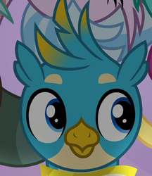 Size: 405x469 | Tagged: safe, screencap, gallus, griffon, friendship university, g4, my little pony: friendship is magic, cropped, male