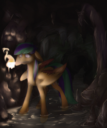 Size: 1100x1319 | Tagged: safe, artist:lonerdemiurge_nail, oc, oc only, oc:naarkerotics, pegasus, pony, cave, dark, solo, torch, ych result