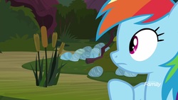Size: 1920x1080 | Tagged: safe, screencap, rainbow dash, pony, g4, the end in friend, cattails, female, mare, reeds, solo