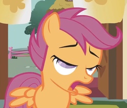 Size: 830x706 | Tagged: safe, screencap, scootaloo, pegasus, pony, call of the cutie, g4, season 1, cropped, faic, female, filly, great moments in animation, lidded eyes, mid-blink screencap, open mouth, solo