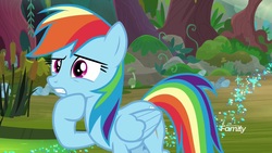 Size: 1920x1080 | Tagged: safe, screencap, rainbow dash, pegasus, pony, g4, the end in friend, azurantium, cattails, female, mare, reeds, solo, sparkles