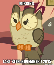 Size: 600x713 | Tagged: safe, edit, edited screencap, screencap, owlowiscious, bird, owl, g4, cropped, image macro, male, meme, memeful.com, missing, solo, they wasted a perfectly good character