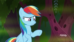 Size: 1920x1080 | Tagged: safe, screencap, rainbow dash, pegasus, pony, g4, the end in friend, female, flying, mare, solo, tree
