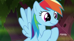 Size: 1920x1080 | Tagged: safe, screencap, rainbow dash, pony, g4, the end in friend, female, mare, so awesome, solo