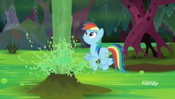 Size: 1920x1080 | Tagged: safe, screencap, rainbow dash, pegasus, pony, g4, the end in friend, cattails, female, flying, froggy bottom bog, geyser, looking up, mare, reeds, smiling, solo, swamp, water