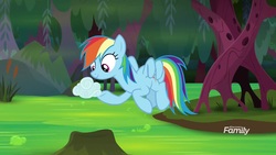 Size: 1920x1080 | Tagged: safe, screencap, rainbow dash, pegasus, pony, g4, the end in friend, cloud, cloud baby, female, flying, froggy bottom bog, mare, solo, swamp