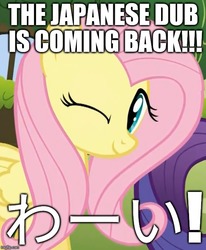 Size: 606x735 | Tagged: safe, editor:useraccount, fluttershy, rarity, pegasus, pony, g4, bilingual, image macro, japanese, japanese dub, meme, one eye closed, solo focus, tomodachi wa mahou, wink