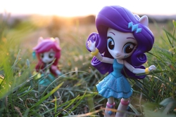 Size: 6000x4000 | Tagged: safe, artist:artofmagicpoland, rarity, roseluck, equestria girls, g4, doll, equestria girls minis, eqventures of the minis, fall formal outfits, female, grass, irl, lost, photo, pony going nuts, toy