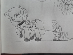 Size: 2576x1932 | Tagged: safe, artist:drheartdoodles, fluttershy, oc, oc:dr.heart, butterfly, pegasus, pony, g4, collar, dialogue, leash, lined paper, pet play, size difference, traditional art, unshorn fetlocks