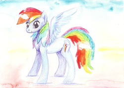 Size: 2293x1634 | Tagged: safe, artist:mandumustbasukanemen, rainbow dash, pegasus, pony, g4, atg 2018, colored pencil drawing, female, mare, newbie artist training grounds, smiling, solo, standing, traditional art, watercolor painting