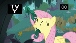 Size: 1920x1080 | Tagged: safe, screencap, fluttershy, pegasus, pony, g4, yakity-sax, biting, cute, female, mare, mouth hold, nom, shyabetes, solo, tv rating, tv-y