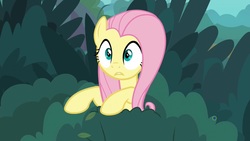 Size: 1920x1080 | Tagged: safe, screencap, fluttershy, pegasus, pony, g4, yakity-sax, bush, cute, female, mare, shyabetes, solo