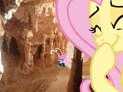 Size: 1024x765 | Tagged: safe, artist:didgereethebrony, fluttershy, seabreeze, breezie, g4, cave, chamber, didgeree collection, female, giggling, jenolan caves, male, mlp in australia, pillar, stalactite, tropical ponies