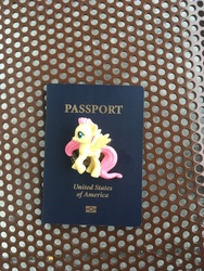 Size: 4032x3024 | Tagged: safe, fluttershy, pegasus, pony, g4, female, figure, irl, mare, passport, photo, solo, toy