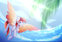 Size: 2612x1779 | Tagged: safe, artist:mauuwde, oc, oc only, oc:heartfire, pegasus, pony, beach, chest fluff, cloud, colored wings, flying, gradient wings, lens flare, looking at you, male, ocean, sky, solo, spread wings, stallion, wings