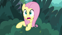 Size: 1280x720 | Tagged: safe, screencap, fluttershy, pegasus, pony, g4, yakity-sax, bush, female, mare, open mouth, solo
