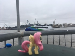 Size: 4032x3024 | Tagged: safe, fluttershy, g4, figure, irl, photo, ship, toy