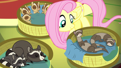 Size: 1280x720 | Tagged: safe, screencap, fluttershy, chipmunk, ferret, raccoon, g4, yakity-sax