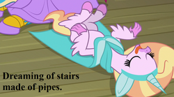 Size: 1152x640 | Tagged: safe, edit, edited screencap, editor:korora, screencap, gallus, silverstream, g4, horse play, what lies beneath, cloak, clothes, costume, cropped, cute, diastreamies, fake ears, fake horn, gallabetes, silverstream does loves indoor plumbing, sleeping, text, that hippogriff sure does love indoor plumbing, that hippogriff sure does love stairs, tongue out