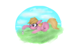 Size: 1800x1200 | Tagged: safe, artist:mr100dragon100, mouse, pony, cute, simple background, solo, transparent background
