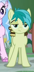 Size: 190x402 | Tagged: safe, screencap, sandbar, silverstream, earth pony, pony, g4, what lies beneath, are you serious, book, cropped, male, offscreen character, raised eyebrow, sandbar is not amused