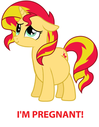 Size: 992x1276 | Tagged: safe, anonymous artist, edit, sunset shimmer, pony, unicorn, g4, female, pregnant, pregnant edit, solo