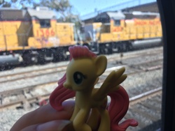 Size: 4032x3024 | Tagged: safe, fluttershy, g4, figure, irl, photo, toy, train