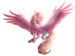 Size: 2292x1716 | Tagged: safe, artist:monogy, oc, oc only, oc:hanalea, pegasus, pony, female, mare, simple background, solo, transparent background, two toned wings