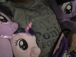 Size: 3088x2320 | Tagged: safe, starlight glimmer, twilight sparkle, g4, high res, irl, merchandise, photo