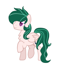 Size: 1024x1280 | Tagged: safe, artist:k3elliebear, oc, oc only, oc:flower band, pegasus, pony, male, simple background, solo, stallion, transparent background