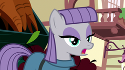 Size: 1280x720 | Tagged: safe, screencap, maud pie, earth pony, pony, g4, yakity-sax, female, solo