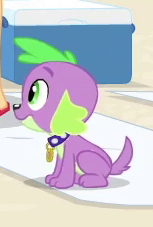 Size: 153x227 | Tagged: safe, screencap, spike, spike the regular dog, dog, equestria girls, equestria girls series, forgotten friendship, g4, cropped, paws