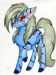 Size: 2447x3289 | Tagged: safe, artist:luxiwind, oc, oc only, oc:cerulean bliss, earth pony, pony, female, high res, mare, solo, traditional art