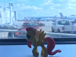 Size: 4032x3024 | Tagged: safe, fluttershy, g4, figure, irl, photo, plane, toy