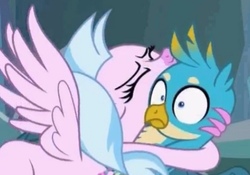 Size: 459x322 | Tagged: safe, screencap, gallus, silverstream, classical hippogriff, griffon, hippogriff, g4, what lies beneath, cropped, cute, diastreamies, duo, female, gallabetes, hape, hug, male, out of context, personal space invasion, shrunken pupils, silverstream hugs gallus, wtf face