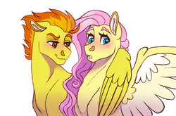 Size: 1280x845 | Tagged: dead source, safe, artist:cascayd, fluttershy, spitfire, g4, blushing, female, lesbian, shipping, simple background, smiling, smirk, spitshy, spread wings, story included, white background, wingboner, wings