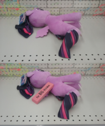 Size: 2560x3072 | Tagged: safe, twilight sparkle, seapony (g4), g4, abuse, alicorn drama, drama, eraser, female, high res, irl, op is a duck, op is trying to start shit, photo, plushie, seaponified, seapony twilight, species swap, toy, twilight sparkle (alicorn)