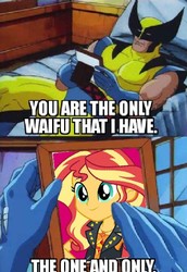 Size: 480x698 | Tagged: safe, edit, edited screencap, screencap, sunset shimmer, equestria girls, g4, my little pony equestria girls: better together, female, geode of empathy, magical geodes, male, marvel, marvel comics, meme, waifu, wolverine, wolverine crush, x-men, x-men the animated series