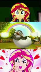 Size: 674x1186 | Tagged: safe, edit, screencap, sunset shimmer, bird, human, penguin, equestria girls, g4, my little pony equestria girls: summertime shorts, pet project, dreamworks, madagascar (dreamworks), meme, nickelodeon, private (madagascar), shimmering the gecko, the penguins of madagascar