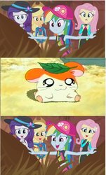 Size: 696x1149 | Tagged: safe, edit, screencap, applejack, fluttershy, rainbow dash, rarity, hamster, aww... baby turtles, equestria girls, g4, my little pony equestria girls: better together, applejack's beach shorts swimsuit, applejack's hat, butterfly hairpin, clothes, cowboy hat, fluttershy's wetsuit, geode of fauna, geode of super speed, geode of super strength, hamtaro, hat, magical geodes, meme, rainbow dash's beach shorts swimsuit, rarity's purple bikini, sun hat, swimsuit, wetsuit