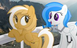 Size: 4420x2750 | Tagged: safe, artist:potato22, oc, oc only, oc:mareota, oc:winter white, pegasus, pony, camera, duo, irl, photo, ponies in real life, railing