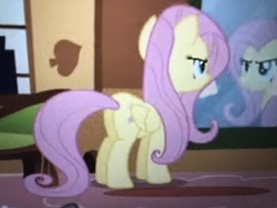 Size: 4032x3024 | Tagged: safe, screencap, fluttershy, pegasus, pony, g4, putting your hoof down, butt, female, mare, mirror, plot, solo