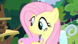 Size: 1920x1080 | Tagged: safe, screencap, fluttershy, pony, g4, yakity-sax, cup, discovery family logo, female, mare, solo, teacup