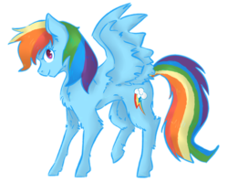 Size: 1024x816 | Tagged: safe, artist:husii, rainbow dash, pony, g4, female, simple background, solo, transparent background