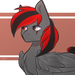 Size: 3000x3000 | Tagged: safe, artist:cuizhu, oc, oc only, oc:east hammer, pegasus, pony, black and red mane, high res, pegasus oc, rule 63, scar, solo, wings