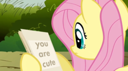 Size: 956x536 | Tagged: safe, edit, screencap, fluttershy, pony, g4, putting your hoof down, cute, fact, female, fluttershy's letter, meme, message, shyabetes, solo, truth