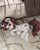 Size: 2480x3124 | Tagged: safe, artist:mrs1989, oc, oc only, oc:blackjack, pony, unicorn, fallout equestria, fallout equestria: project horizons, angry, blushing, dock, fanfic, fanfic art, female, frog (hoof), high res, hooves, horn, lying, mare, solo, underhoof