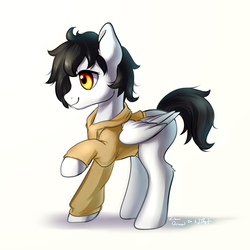 Size: 1024x1024 | Tagged: safe, artist:rikadiane, oc, oc only, pegasus, pony, clothes, female, hoodie, mare, simple background, solo, white background