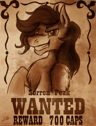Size: 2042x2671 | Tagged: safe, artist:jamescorck, oc, oc only, pegasus, pony, fallout equestria, fallout, grin, handsome, high res, male, reward, sketch, smiling, smirk, stallion, the hopeful four, wanted poster, western